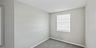 Village of Carrollwood Village of Carrollwood Gallery 2