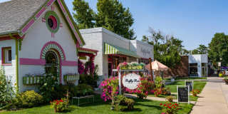 Modera University Park Gallery 32