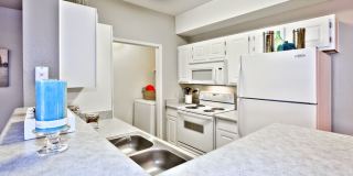 Summer Winds Gallery 13