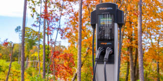 Ellison at the Preserve Gallery 50