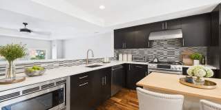 Luxury 23-Ft-Wide 3bed 2.5 bath Northern Liberties Townhome w/ Garage Parking, Finished Basement & Roof Deck Gallery 16