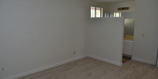 10336 Ridgewater Lane - 1 Gallery 16