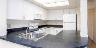 Ocean Crest Gallery 3