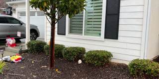 Charming and Elegant Home in Clovis District Gallery 4