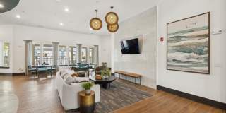 Ascend at Woodlands Gallery 134