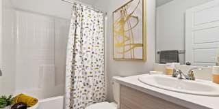 Amazon Falls Gallery 26