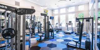 The Arches at Park Cities Gallery 12