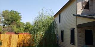 54 Basin Elm Gallery 2