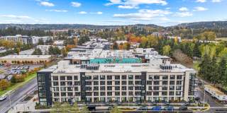 The Piper Gallery 15