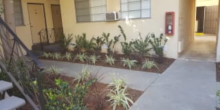 South Olive Gallery 14