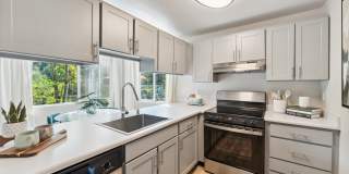 Sofi Lakeside Gallery 1