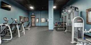 Artena Manassas Gallery 17