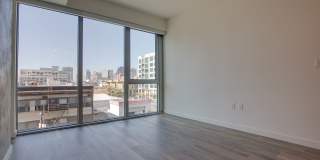 The Merian Gallery 42