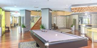 Emerson at Cherry Lane Gallery 8