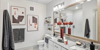 Virtuo Spring Gallery 21