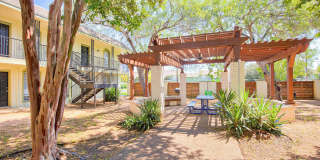 The Palm on SPID Gallery 4