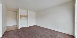 Inwood Grove Gallery 50