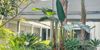 Cambridge Court Apartments Gallery 28