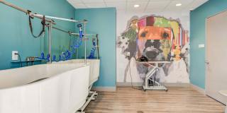 Delamarre at Celebration Gallery 19