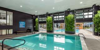 Lumina Apartments Gallery 3