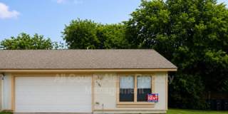 11782 Spring Song Gallery 3