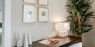 Clear Creek Springdale Apartments Gallery 13