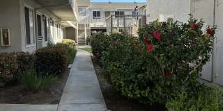 Carlsbad Sunset - Senior Housing Gallery 2
