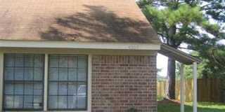4009 Chipola Street Gallery 1