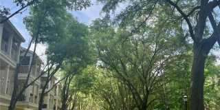 5025 SW 91ST Court Gallery 1