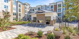 Bainbridge Cary Gallery 33