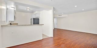 Jaclyn Terrace Gallery 33