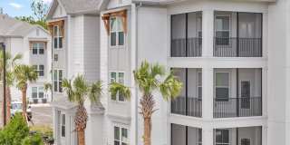 Tapestry Palmera Gallery 71