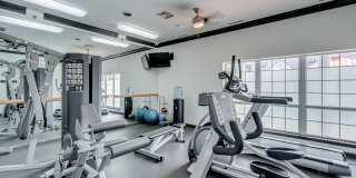 The Shores of Lake St. Clair Gallery 10