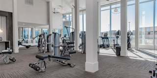 The Gabriella Gallery 20