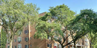 3823 Pine Grove Gallery 1