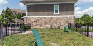 Red Knot at Edinburgh Gallery 35