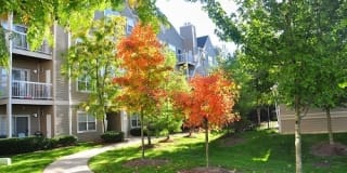 Stonehaven Gallery 5