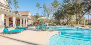 Arbor Village Gallery 4