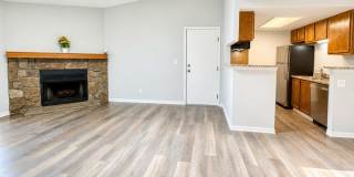 Beautifully Remodeled | 1 Bed · 1 Bath | Pet Friendly Gallery 5