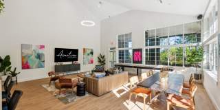 Aventura at Oak Mountain Gallery 19