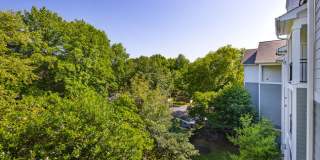 J Harbor Park at North Point Gallery 49