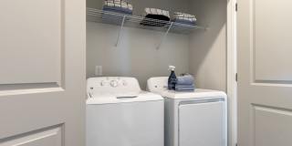 The One at Millington Gallery 8