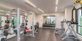 Cortland M-Line Gallery 15