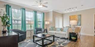 Park at Briggs Ranch Gallery 8