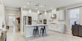 33886 LANDSMAN LOOP Gallery 4