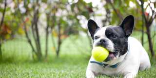 Aven Chastain Gallery 10