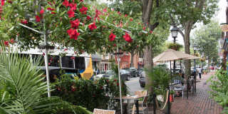915 S Patrick St Gallery 29