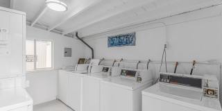 Overlook Point Gallery 10