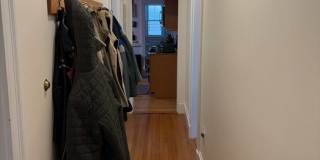 7 Lewis Street Gallery 18