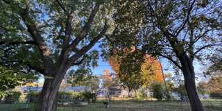 3505 Prairie Avenue Gallery 3